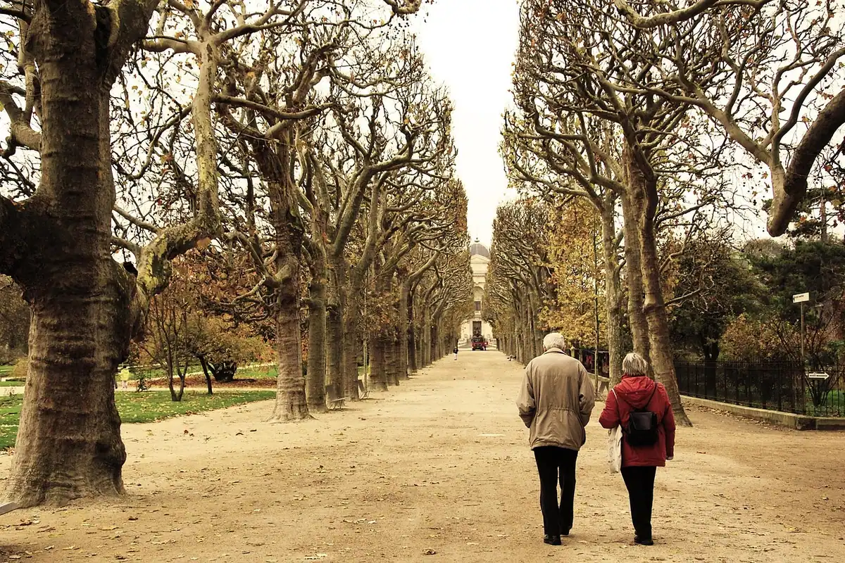 Doi pensionari care se plimbă pe o alee cu platani, într-un parc